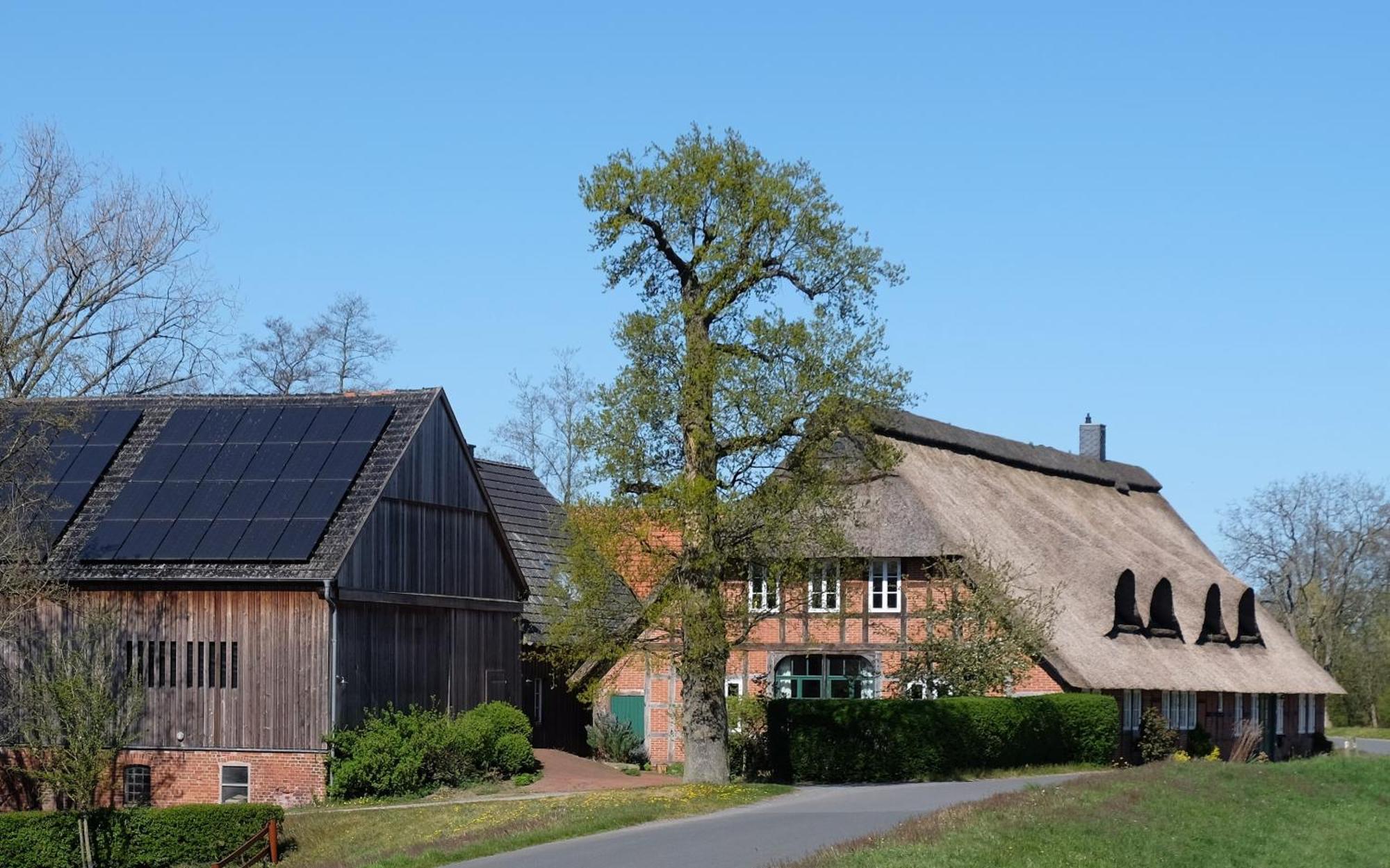 Auf Dem Deich - Im Bremer Blockland BRE